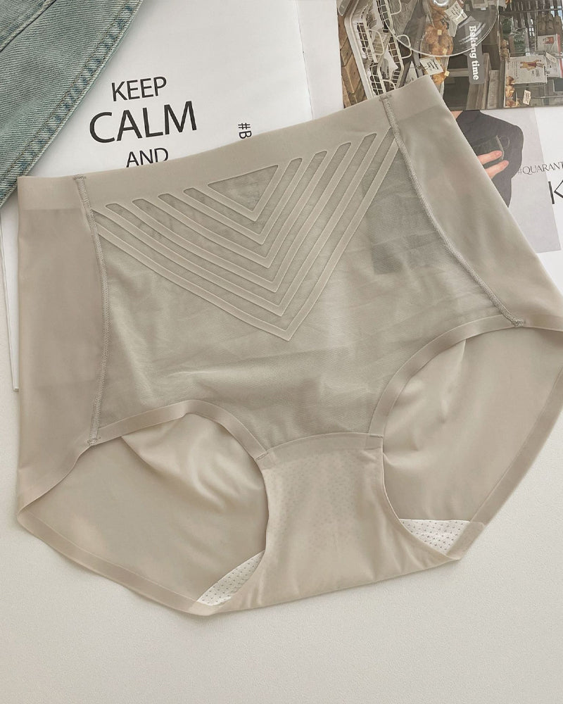 Floravynnia – Ice Silk Seamless Tummy Lifting Underwear